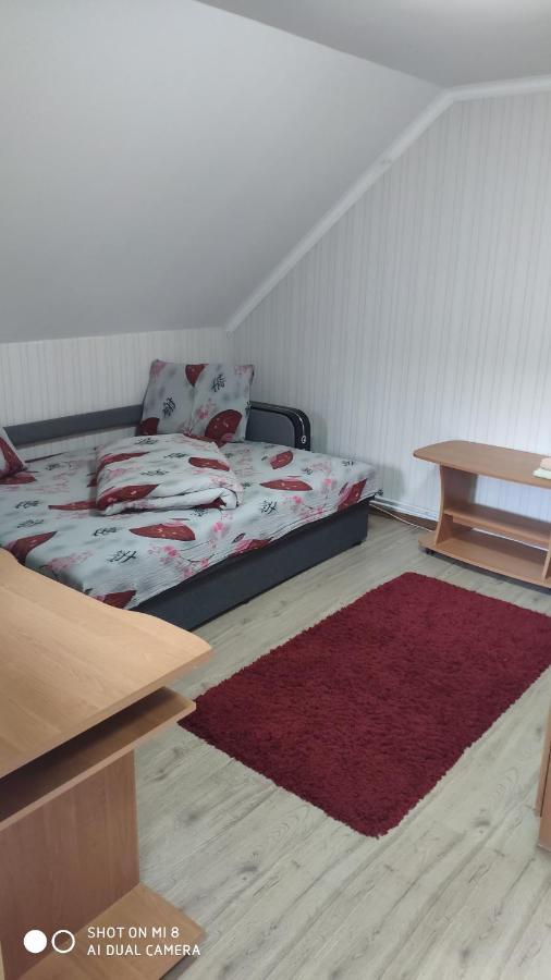 Ferienwohnung Ріточка Berehowe Exterior foto